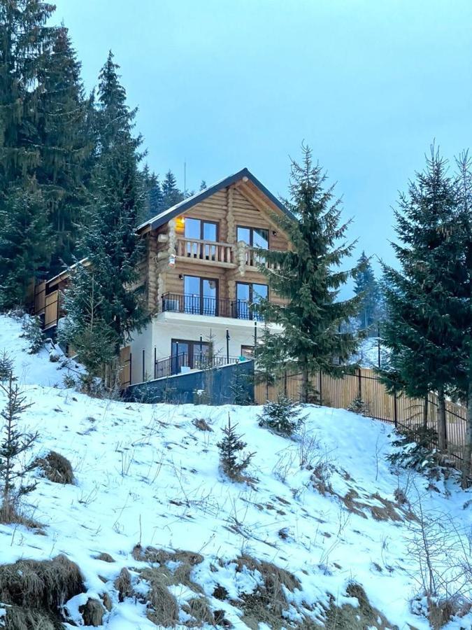 Chalet Du Lac โกลีบิตซา ภายนอก รูปภาพ